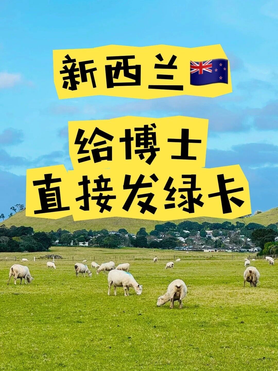 新西兰身份，硕士工作1年，博士直接永居