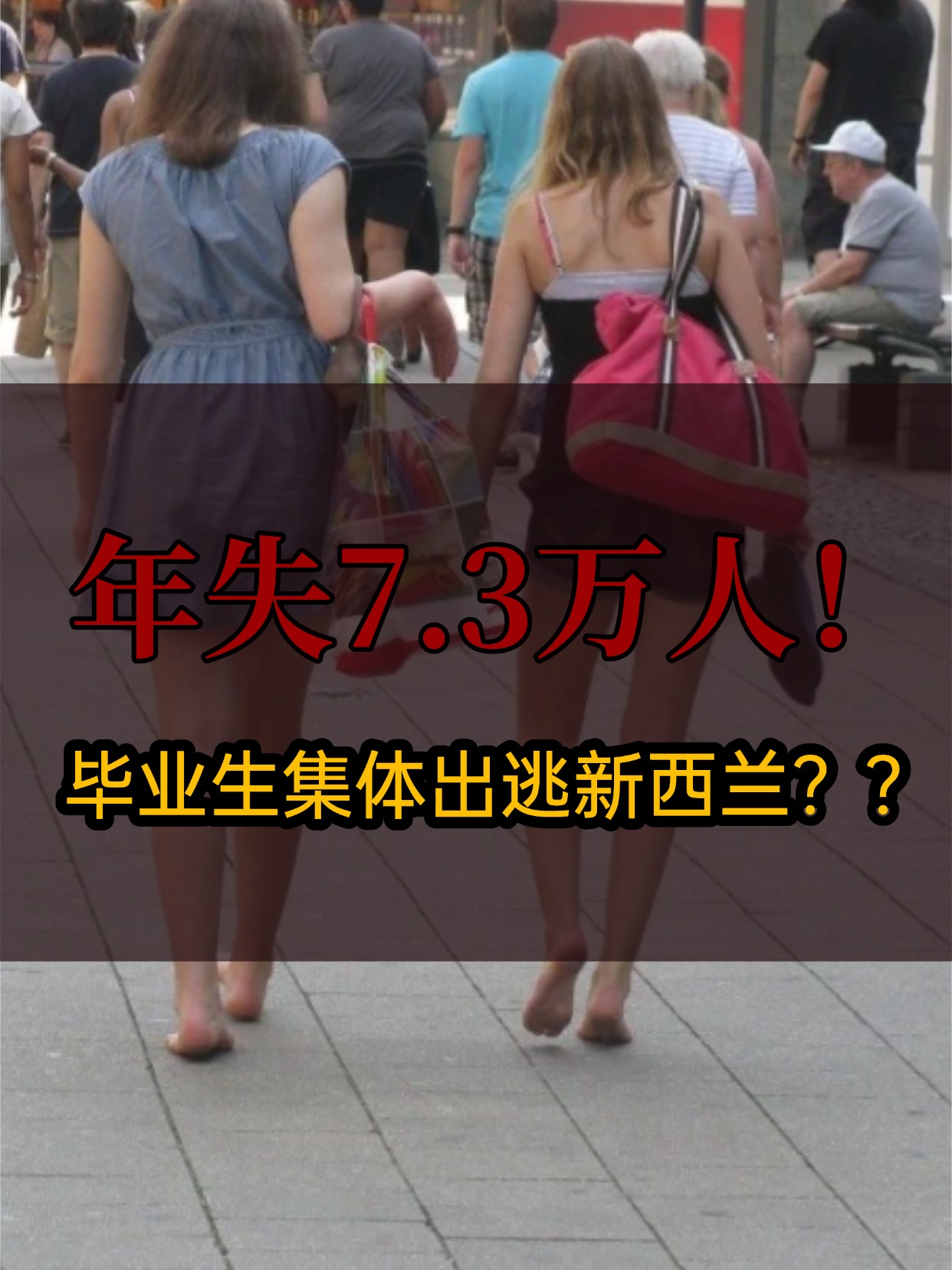 年失7.3万人!新西兰“跪求”留学生留下🧎
