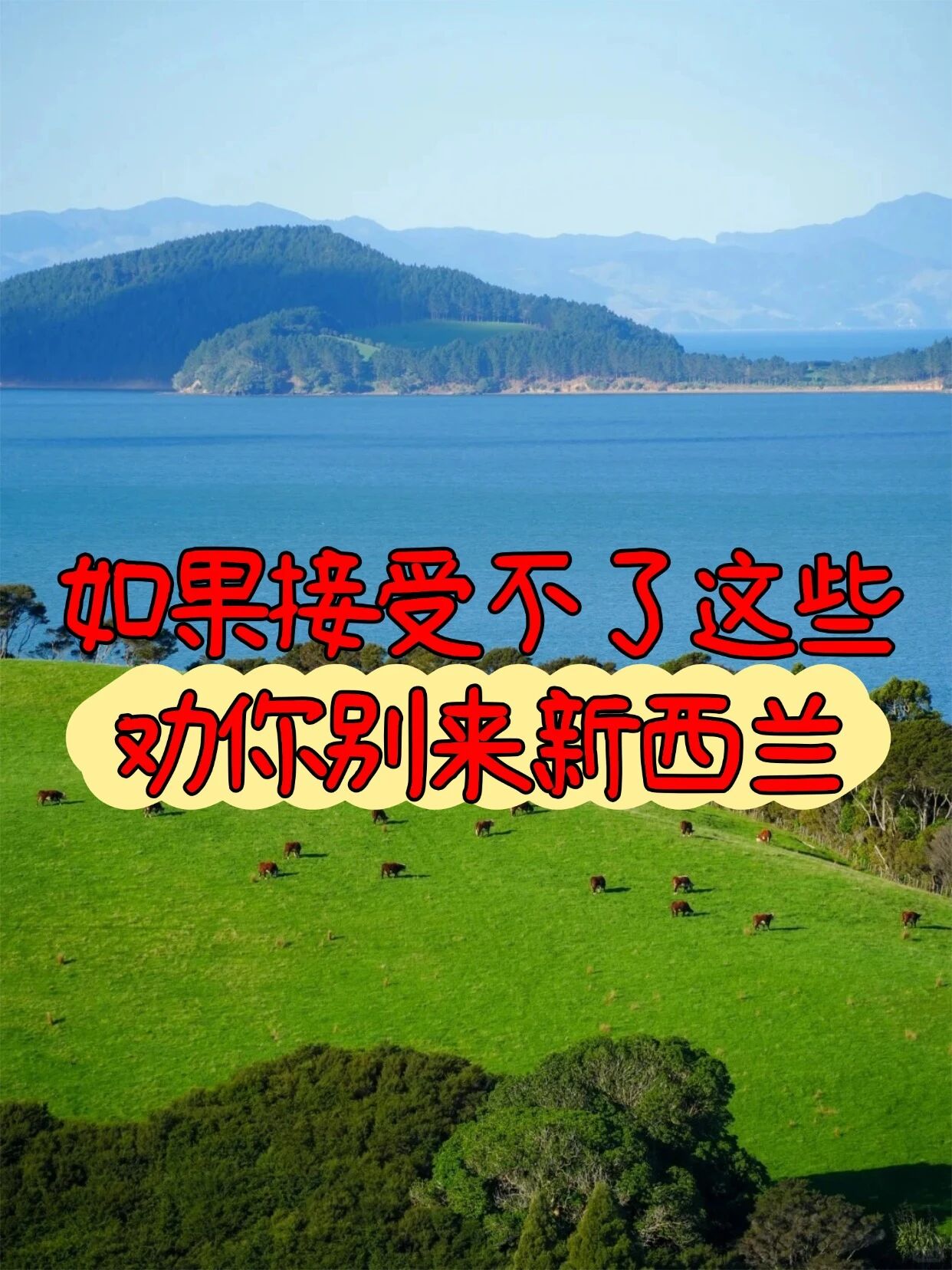 真心话，新西兰没有你想象中那么好