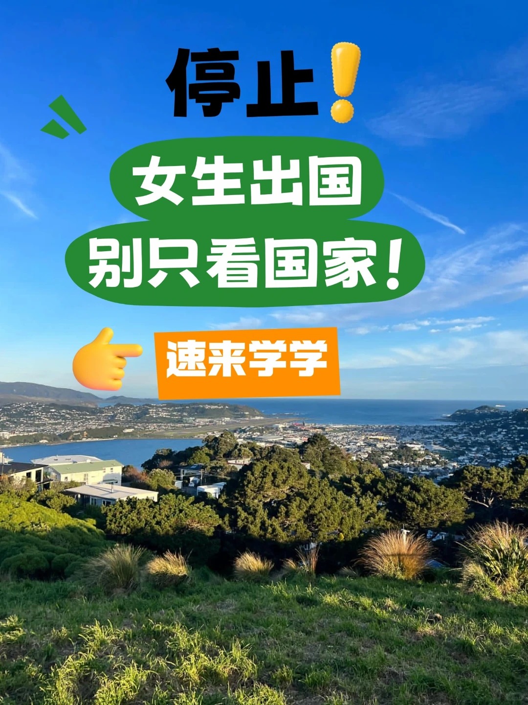 致那些想出国的女生