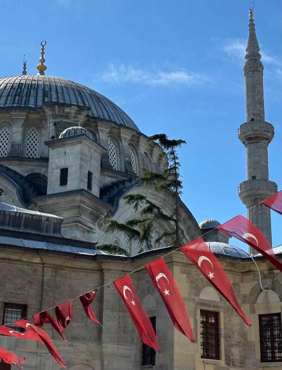 终于上岸🇹🇷土耳其护照！