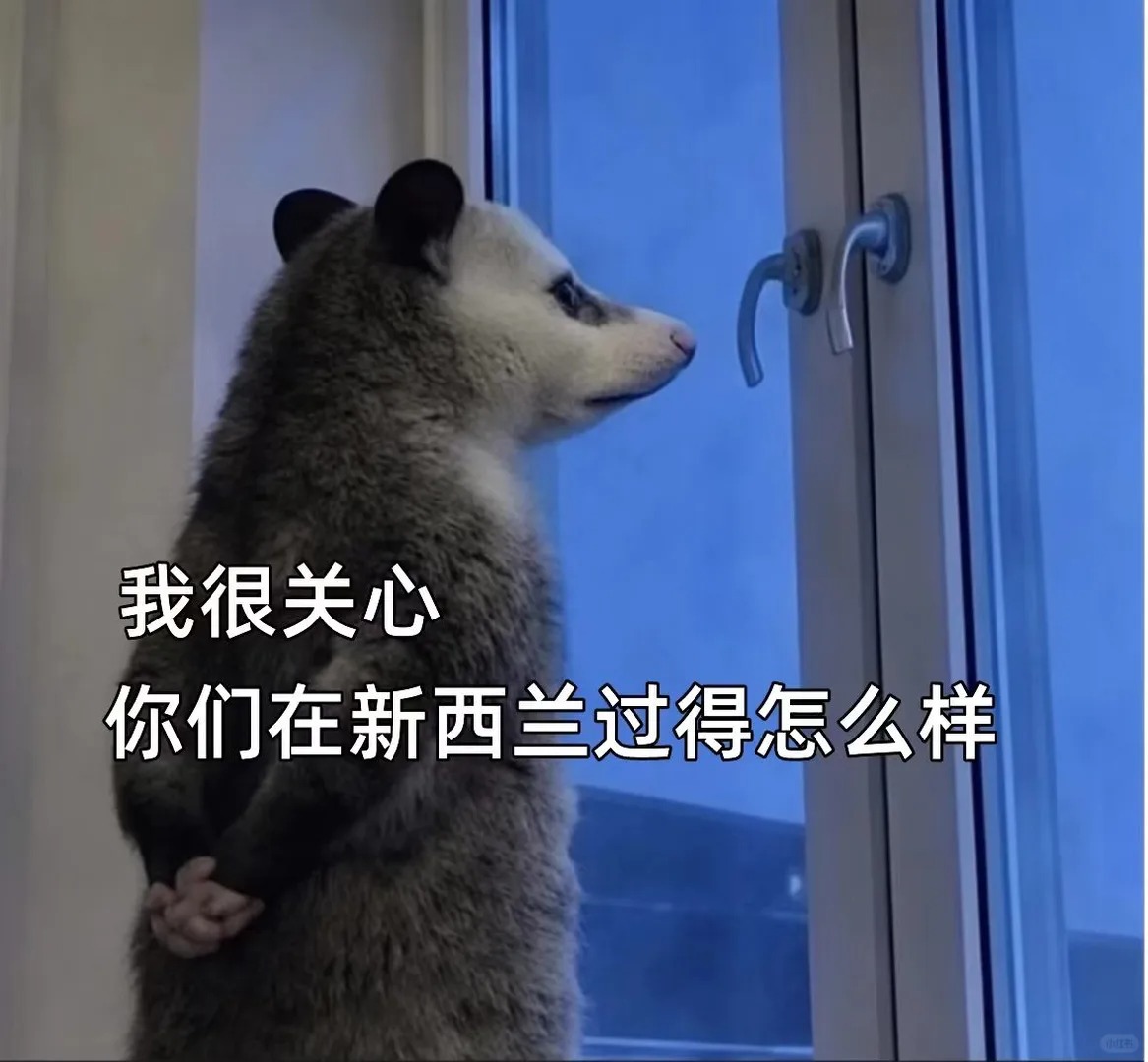 新西兰已移，跟大家说几句掏心窝子的话