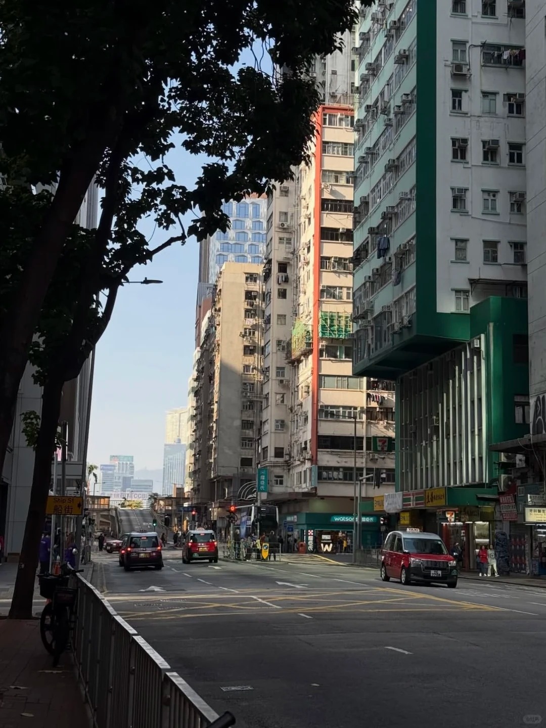 香港高才续签，这条记录千万别造假